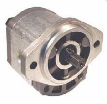 Picture of Gear Pump - Group 2  SAE Mount with Threaded Ports FISH